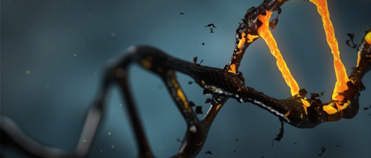 Descubierto un gen relacionado con el envejecimiento del cerebro