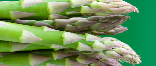 15 alimentos para aumentar la testosterona de forma natural