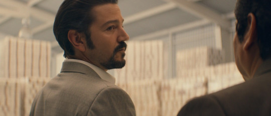 Frases Diego Luna