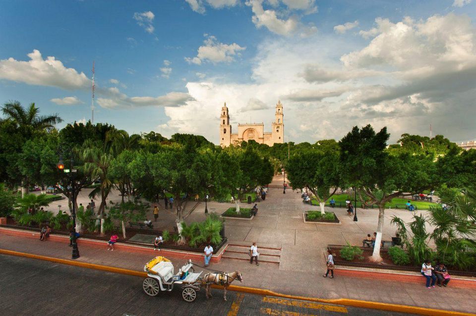 Mejores psicólogos en Mérida, México