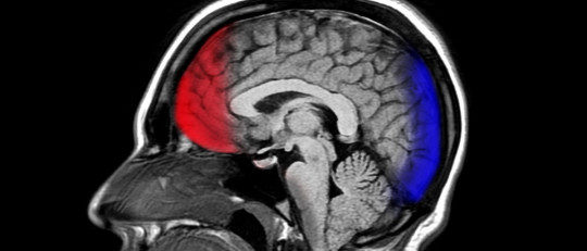 Cómo las redes sociales cambian nuestro cerebro