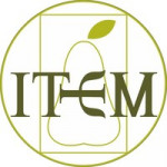 Centro Item
