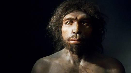Homo antecessor