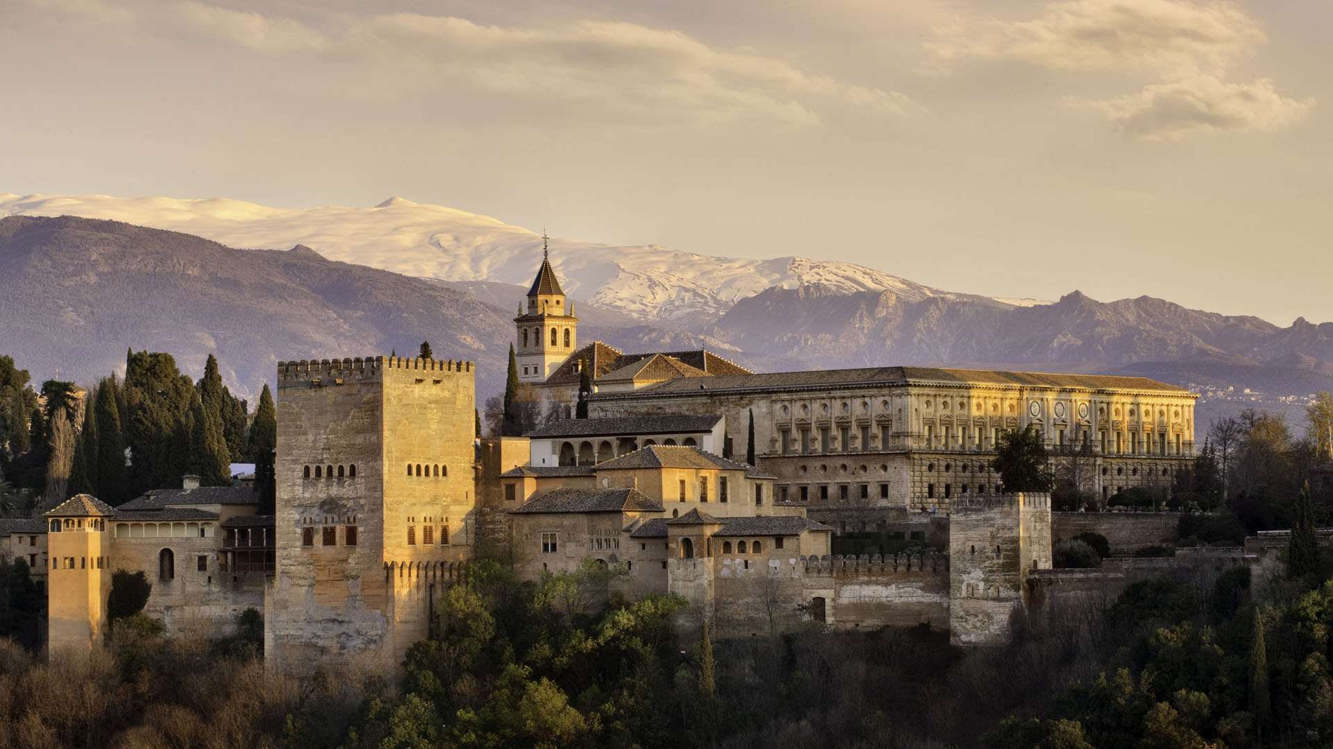 Mejores psicólogos ansiedad Granada