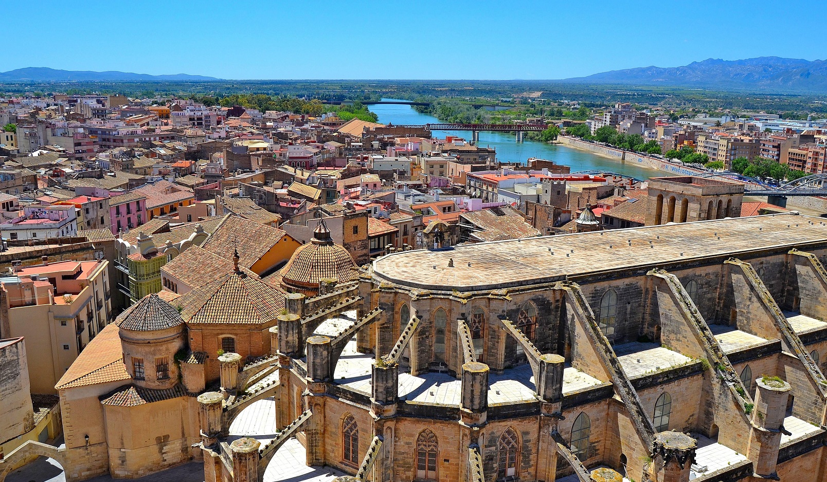 Psicólogos en Tortosa