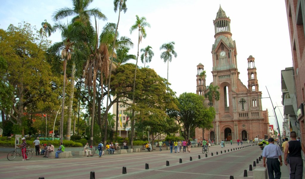 Psicólogos en Palmira (Colombia)