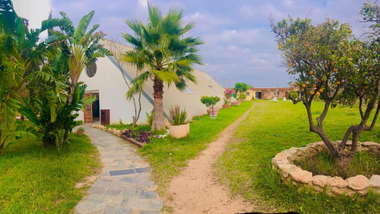 Llaurant la Llum jardín