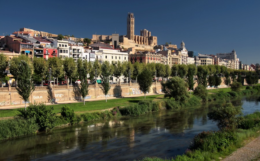 Los mejores psicólogos infantiles en Lleida