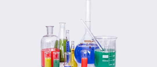 Preguntas de investigación: cómo enfocar un estudio, con ejemplos