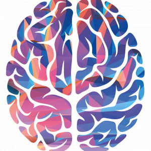 Mental Area Centro De Neurofeedbacl, Psicología Y Meditación