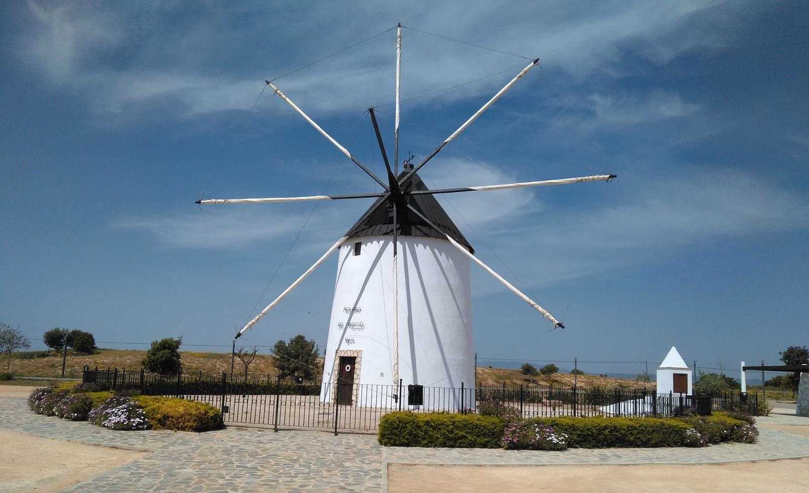 Psicólogos en Torre-Pacheco