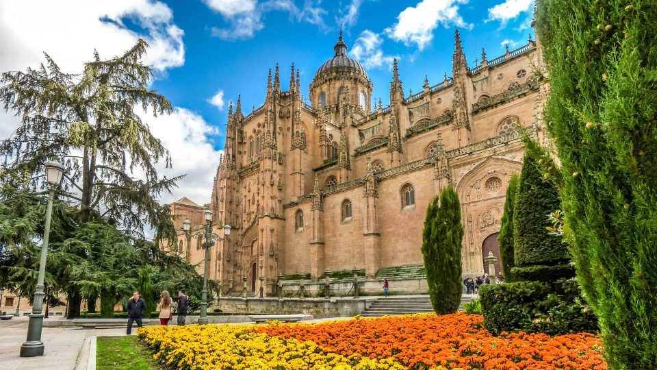 Psicólogos expertos en depresión en Salamanca