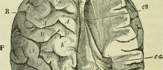 Neuropsicoanálisis