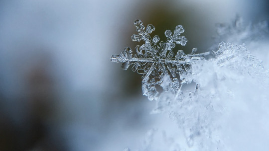 ¿Por qué la gripe aparece en invierno?