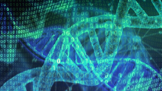 Qué son las regiones aceleradas humanas