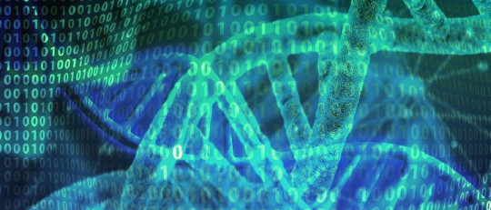Qué son las regiones aceleradas humanas