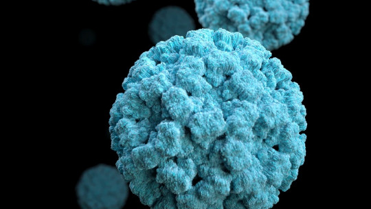 Diferencias entre virus y bacterias