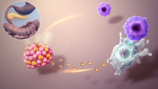 Enfermedades del sistema endocrino