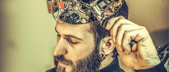 Las 11 funciones ejecutivas del cerebro humano