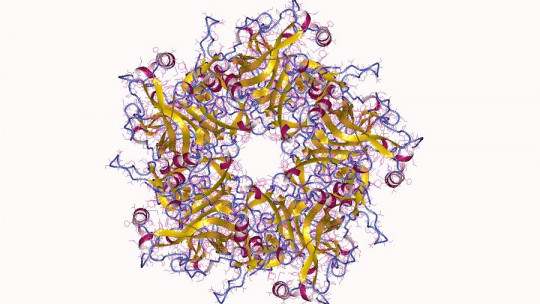 Virus del papiloma humano