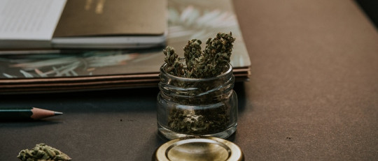 Excusas de los fumadores de cannabis para no dejarlo