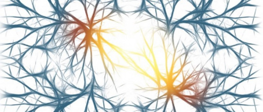 Epilepsia focal o parcial: causas, síntomas y tratamiento