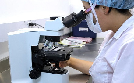 Microscopio