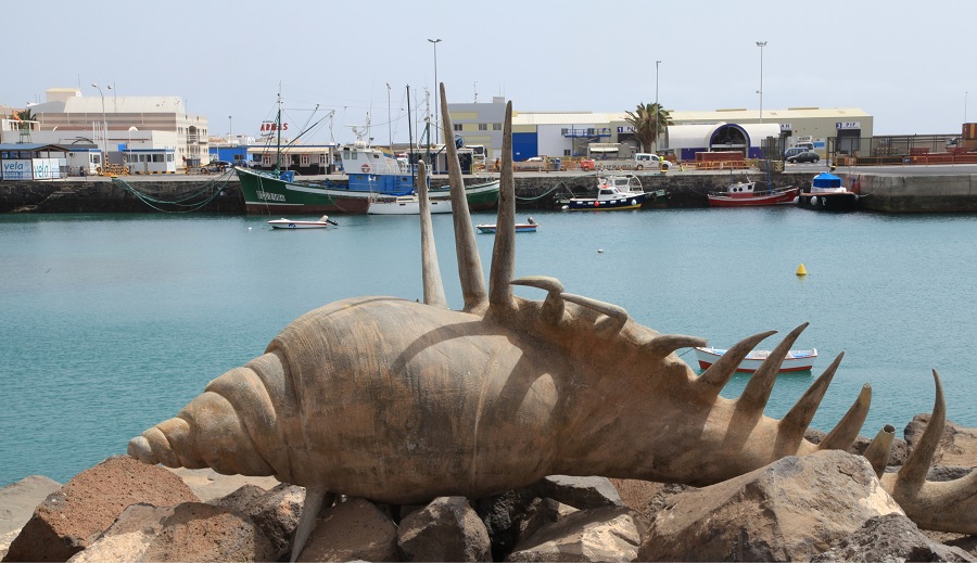 Los mejores Psicólogos expertos en Traumas en Puerto del Rosario