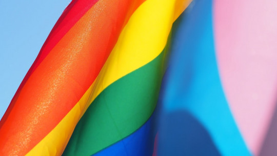 Diversidad sexo-génerica: qué es y cómo se expresa