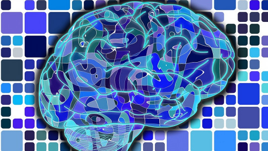Los mejores cursos online de Psicología Clínica