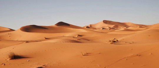 Los 11 tipos de desiertos, y sus características