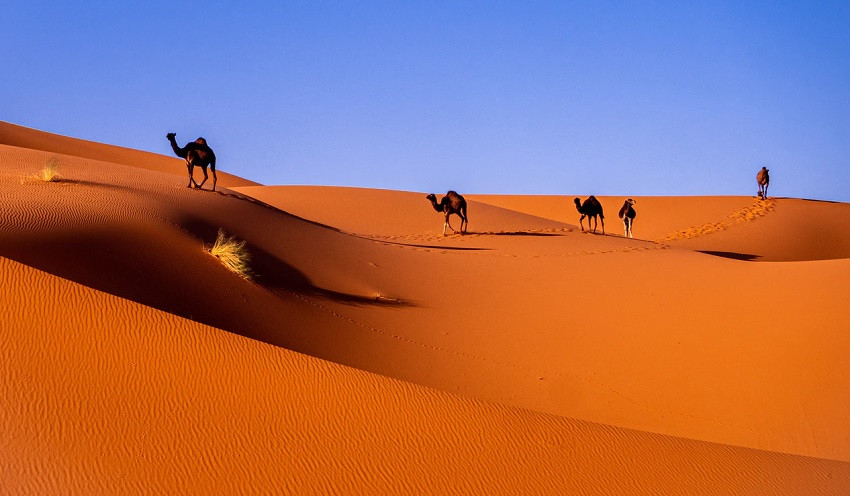 Desierto del Sáhara