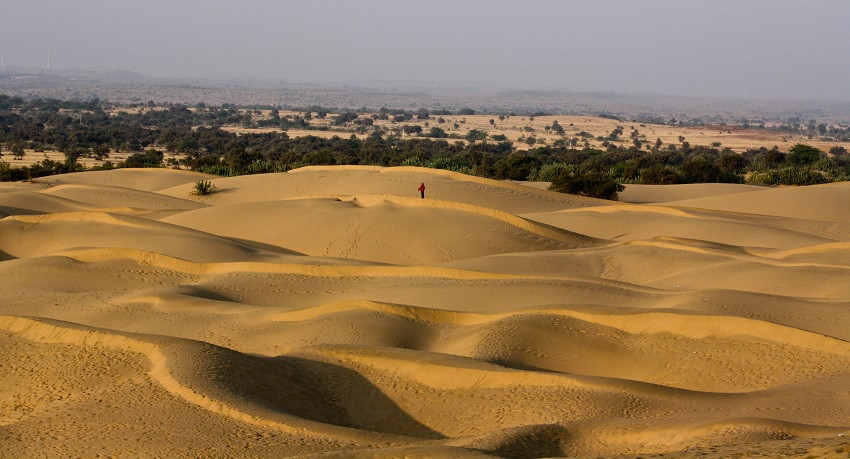 Desierto de Thar