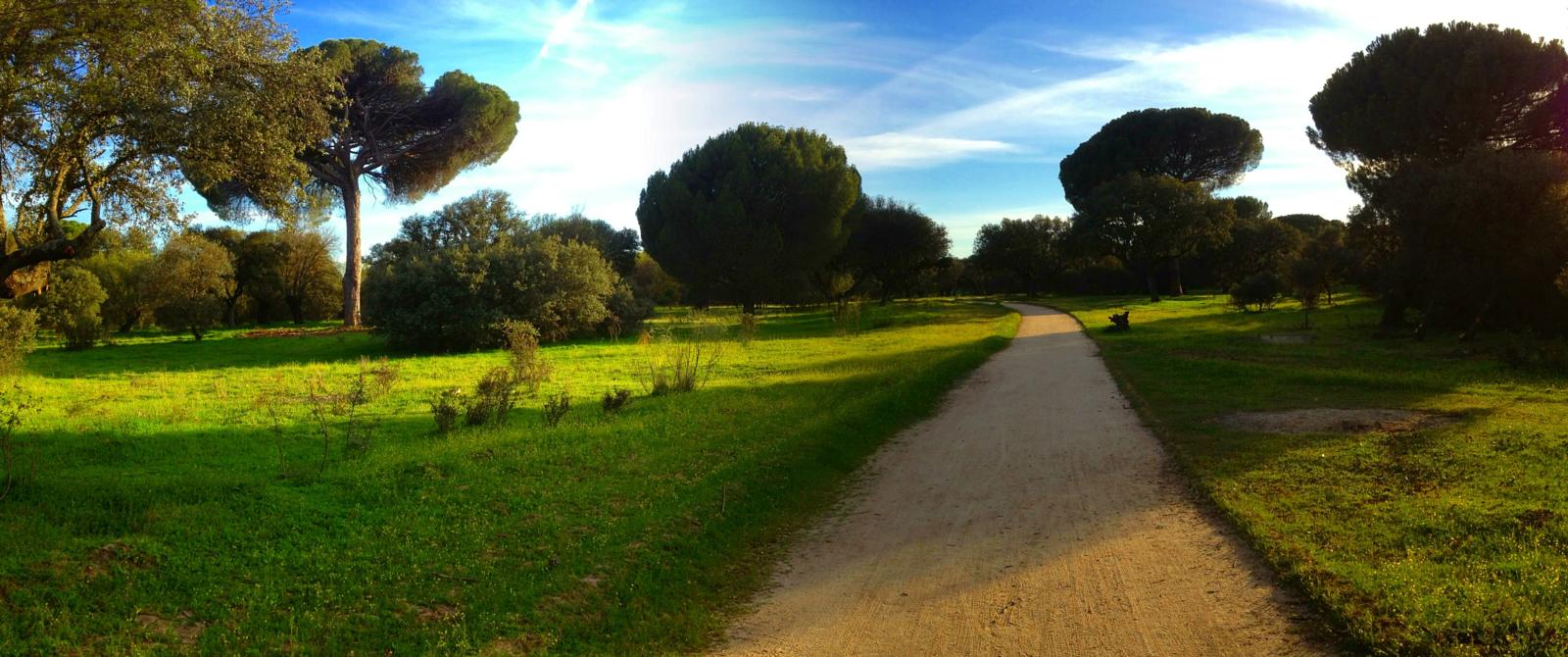 Terapia Familiar en Boadilla del Monte