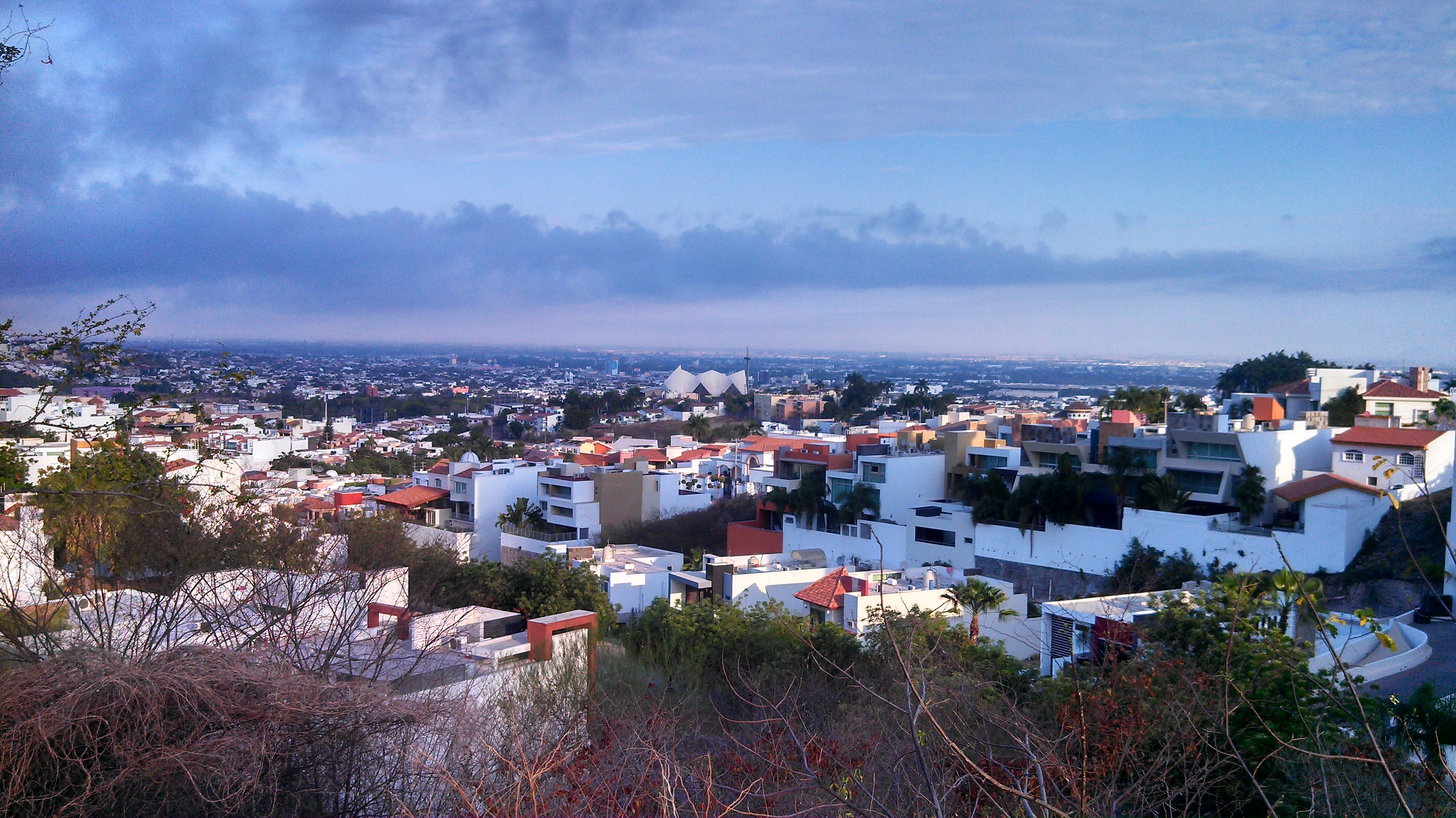 Psicólogos en Culiacán Rosales