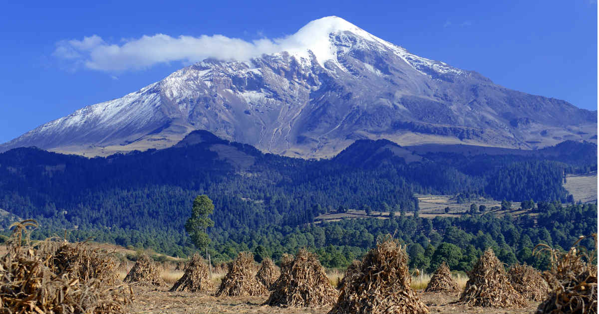 Psicólogos en Orizaba