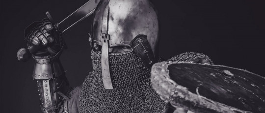 Las ramas de la Historia