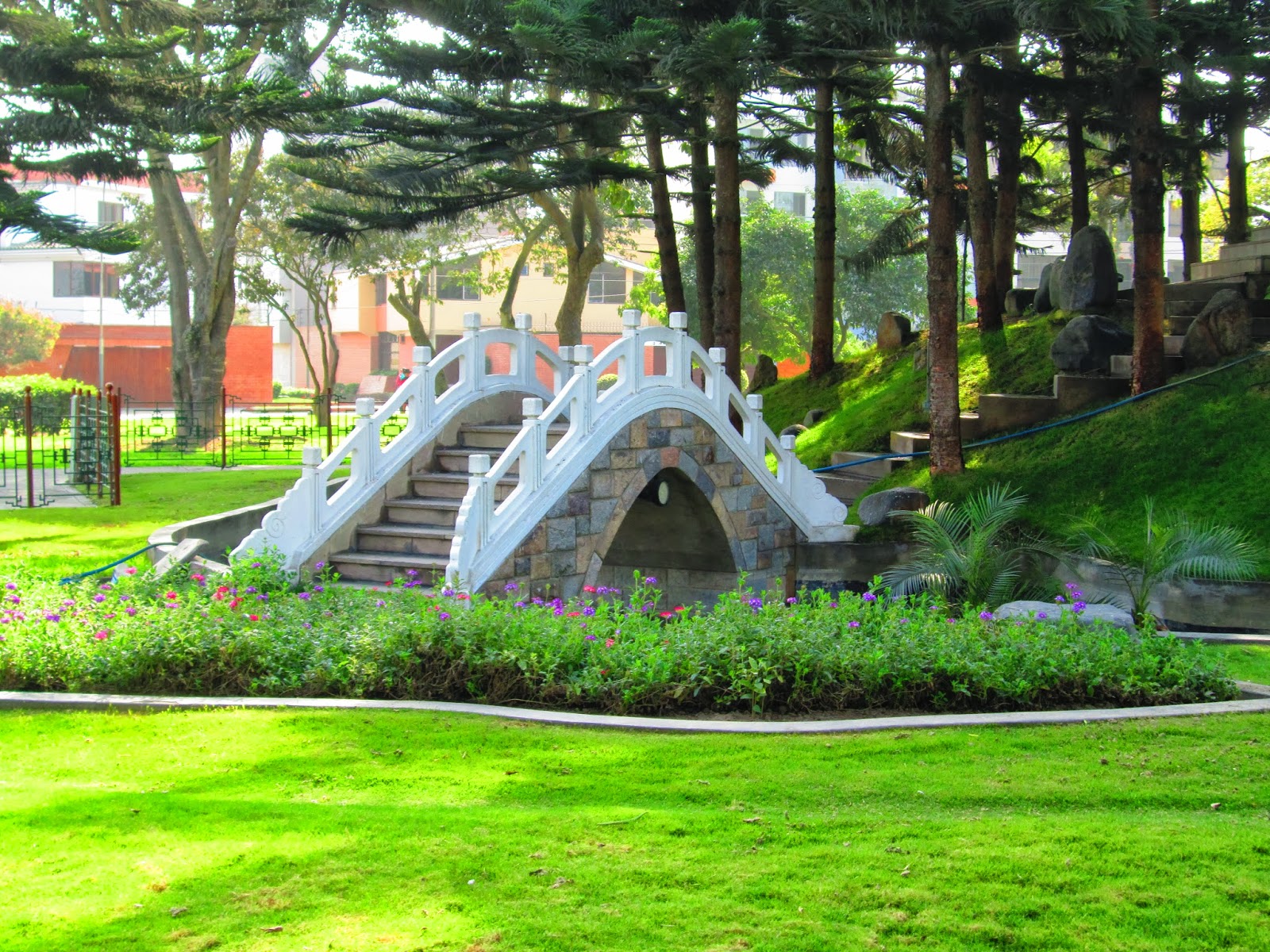 Psicólogos en San Borja (Lima)