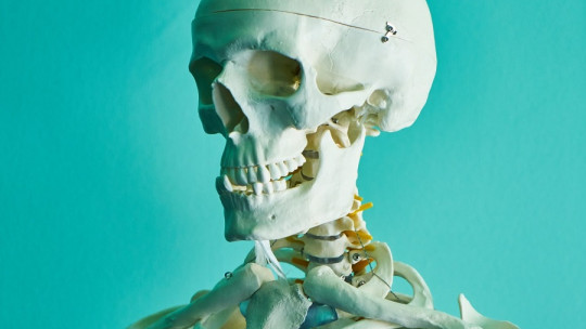 Osteología