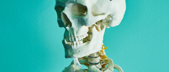 Osteología