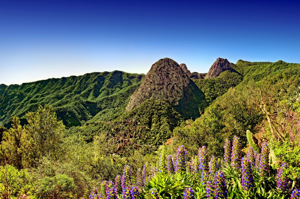 Psicólogos en La Gomera