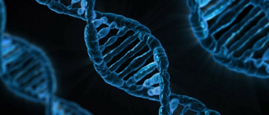 ¿Somos esclavos de nuestros genes?