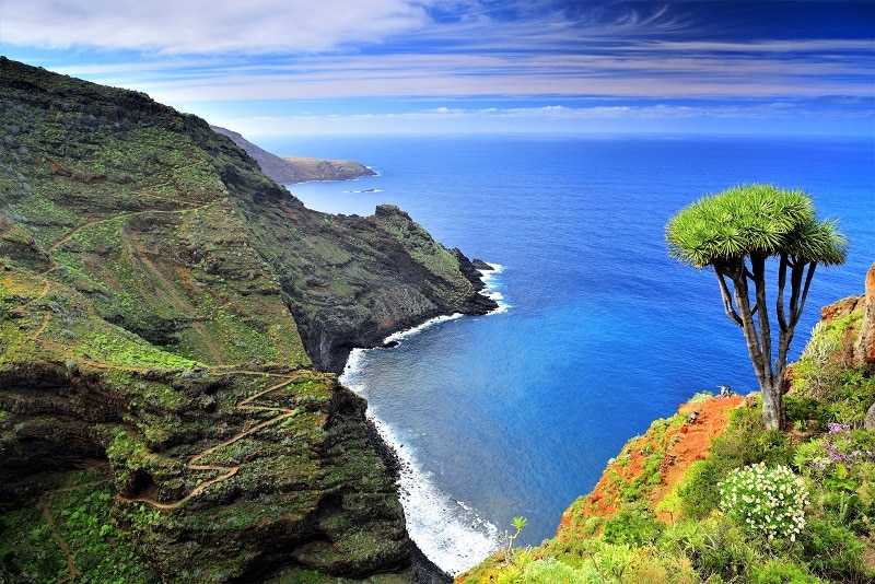 Psicólogos en La Palma (Santa Cruz de Tenerife)