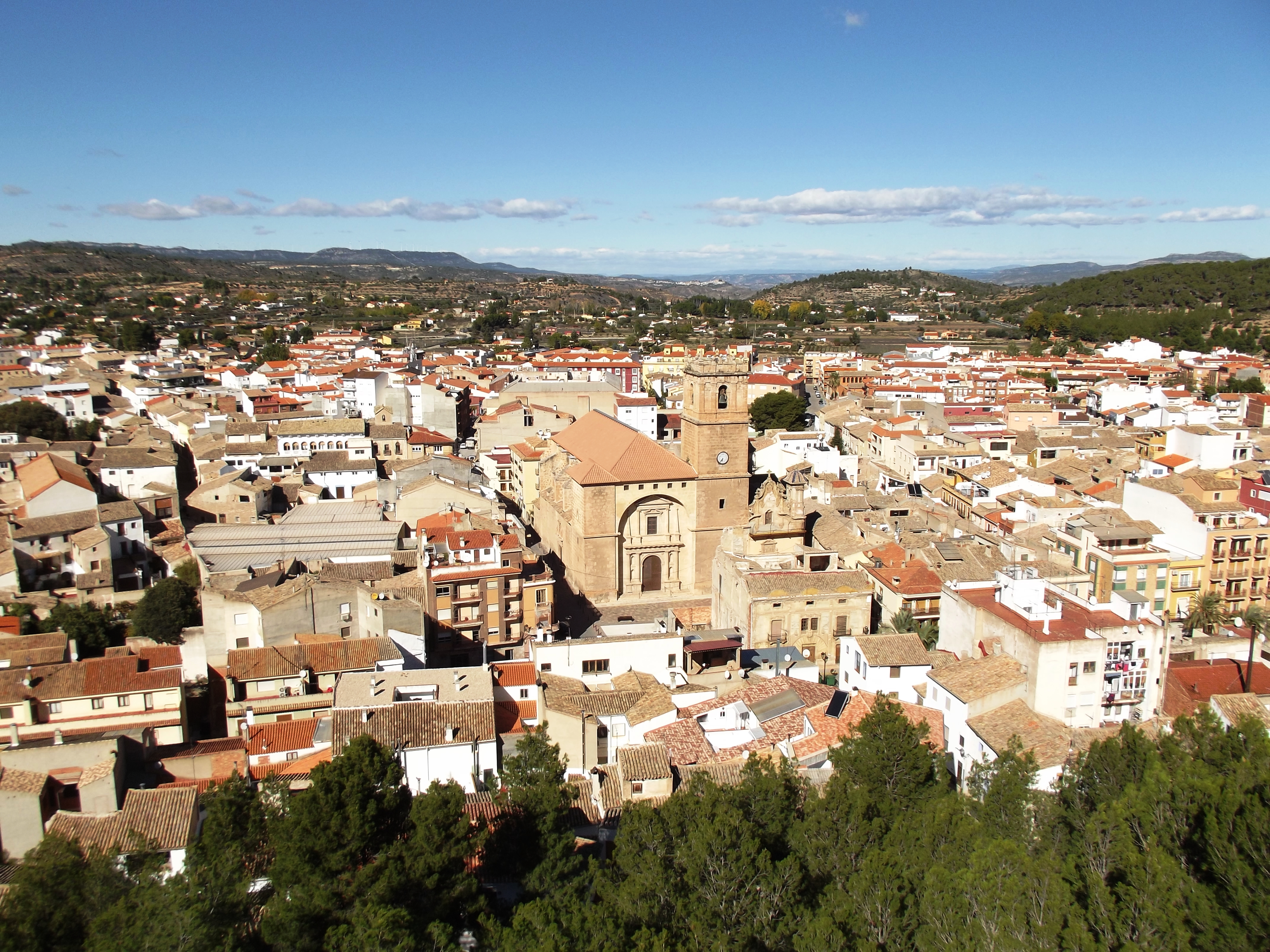 Psicólogos en Ayora