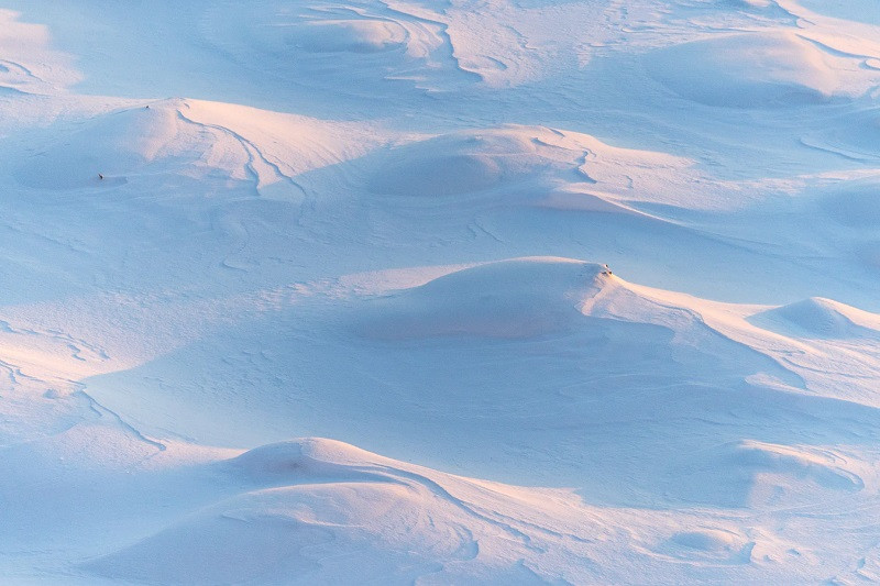 Antártica