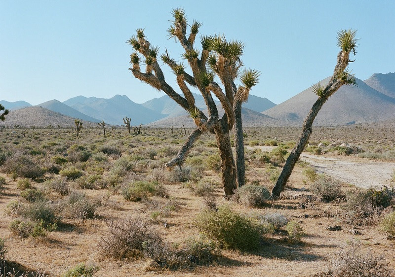 Valle de la Muerte
