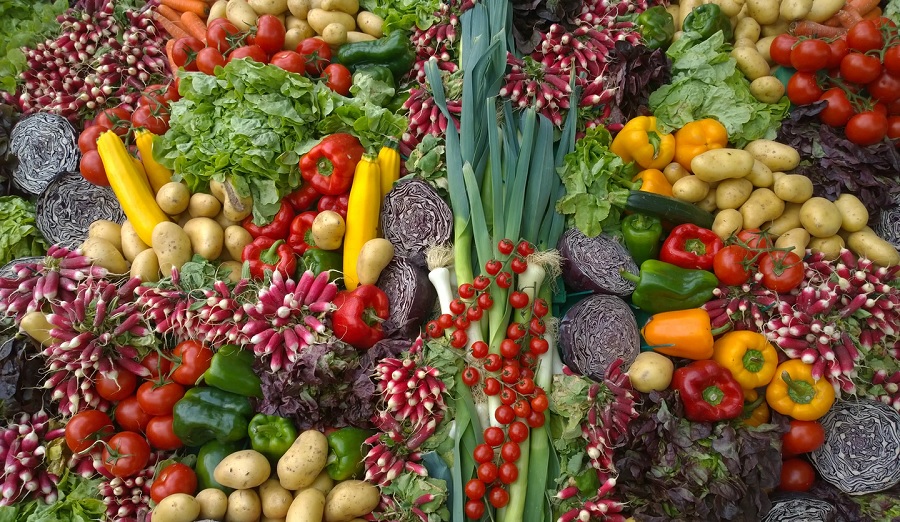 Los mejores Nutricionistas en Valencia