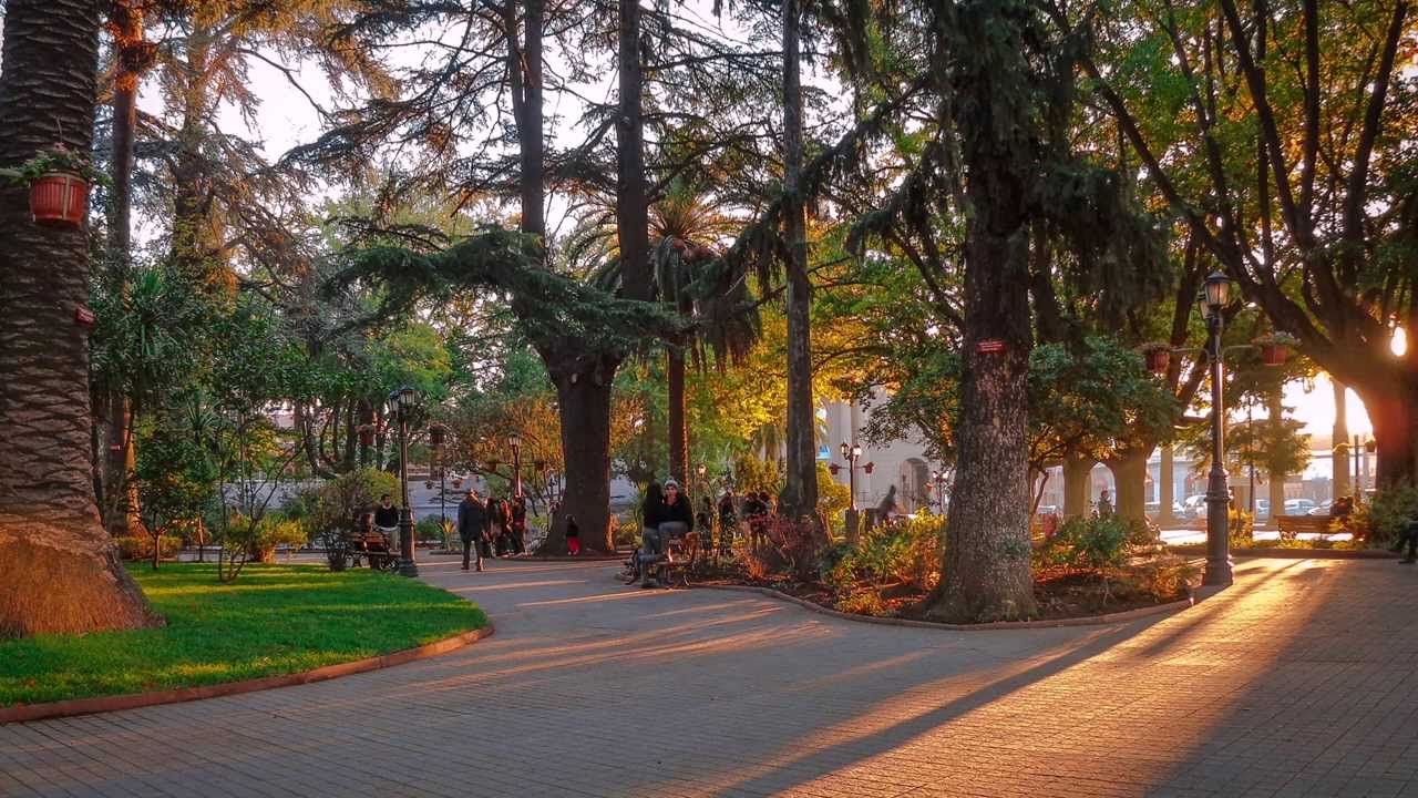 Psicólogos en Curicó