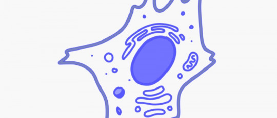 Peroxisomas