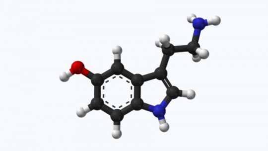 ¿Cuáles son los efectos psicológicos de la serotonina?
